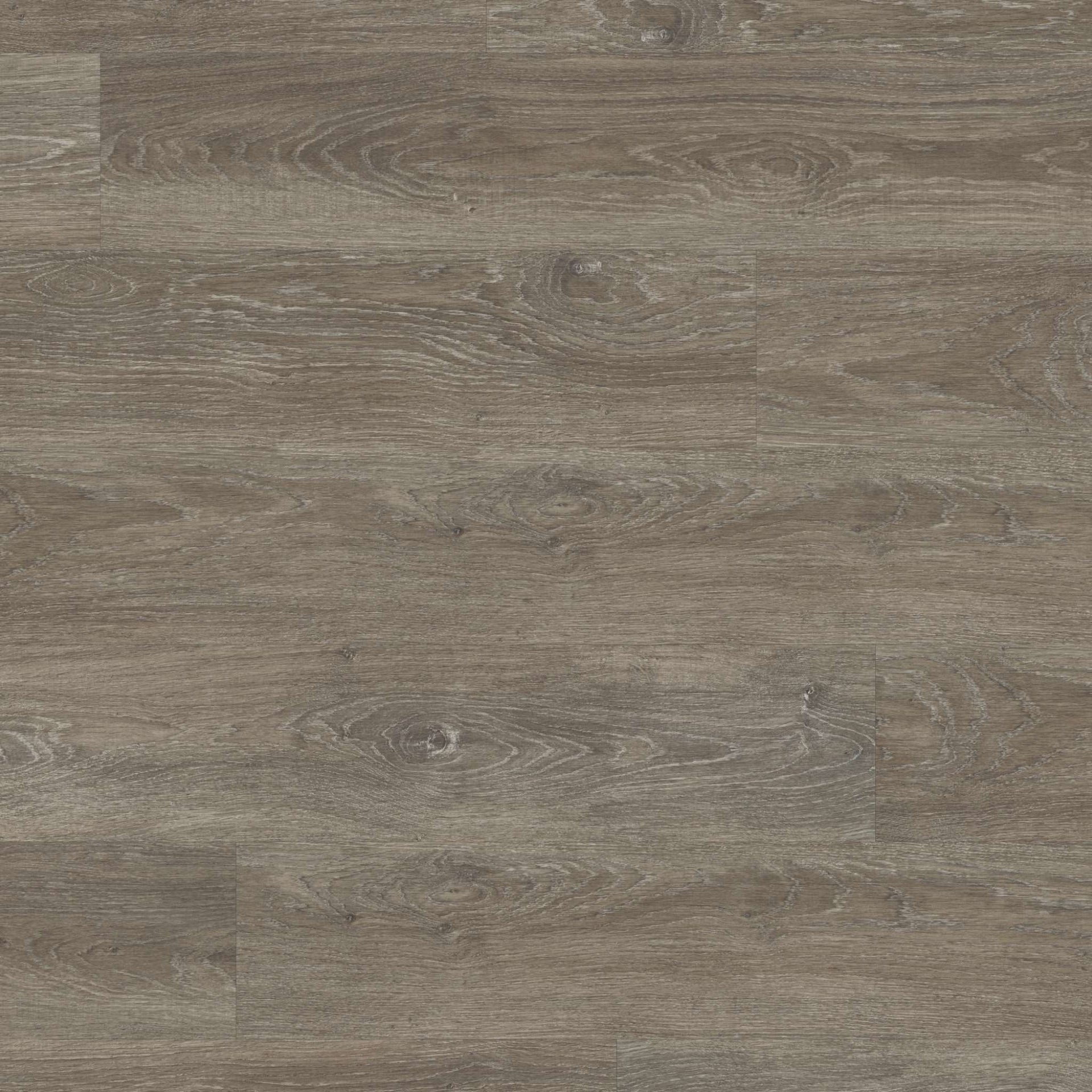 Bolsena Grey Oak LVT Pack