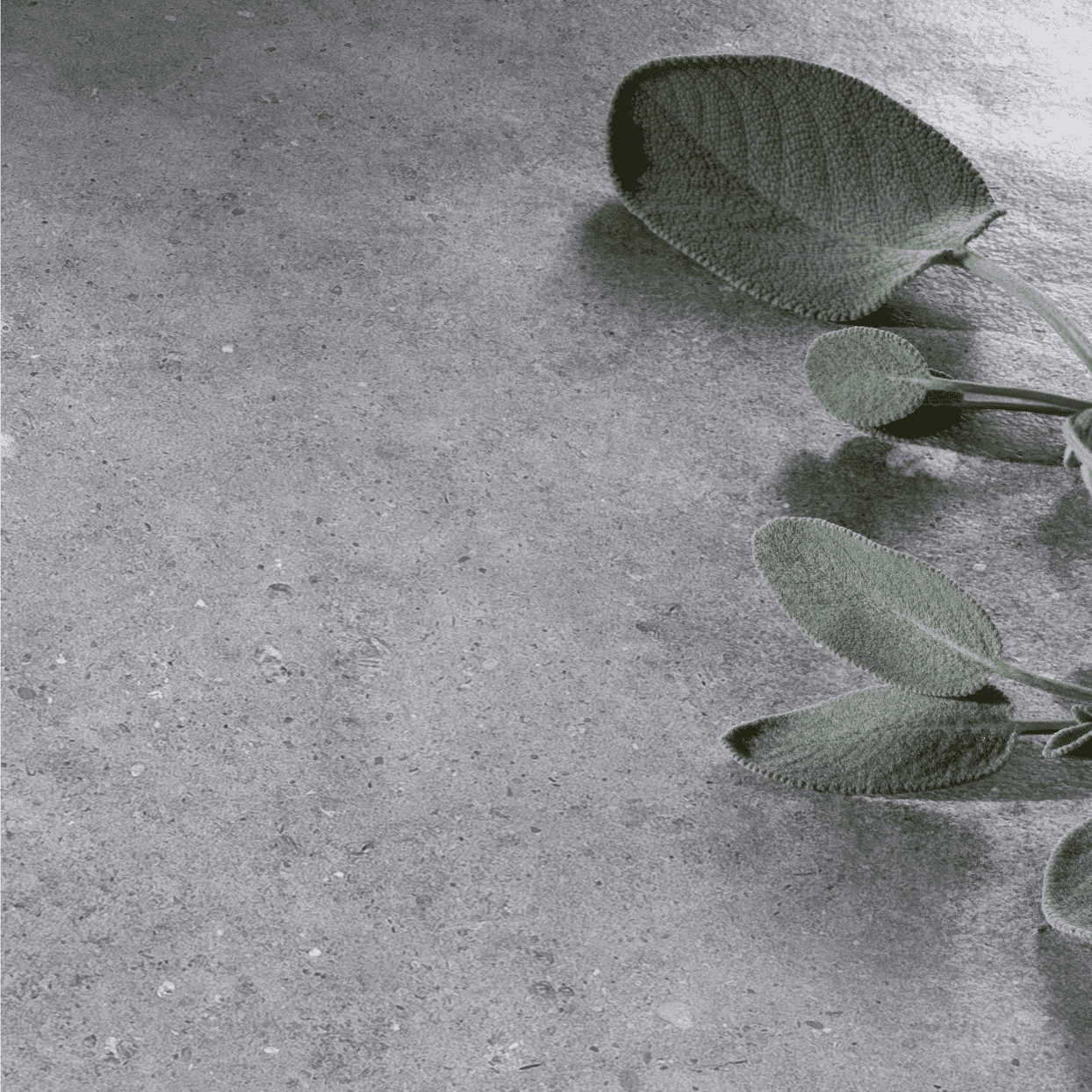 Close-up of coolstone grey terrazzo porcelain wall and floor tiles