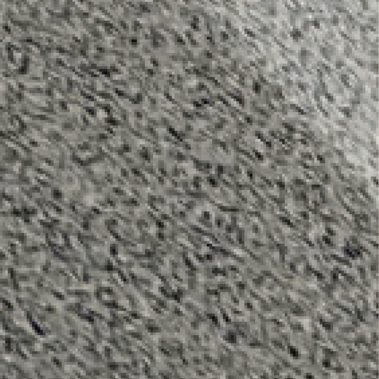 Dark Granite