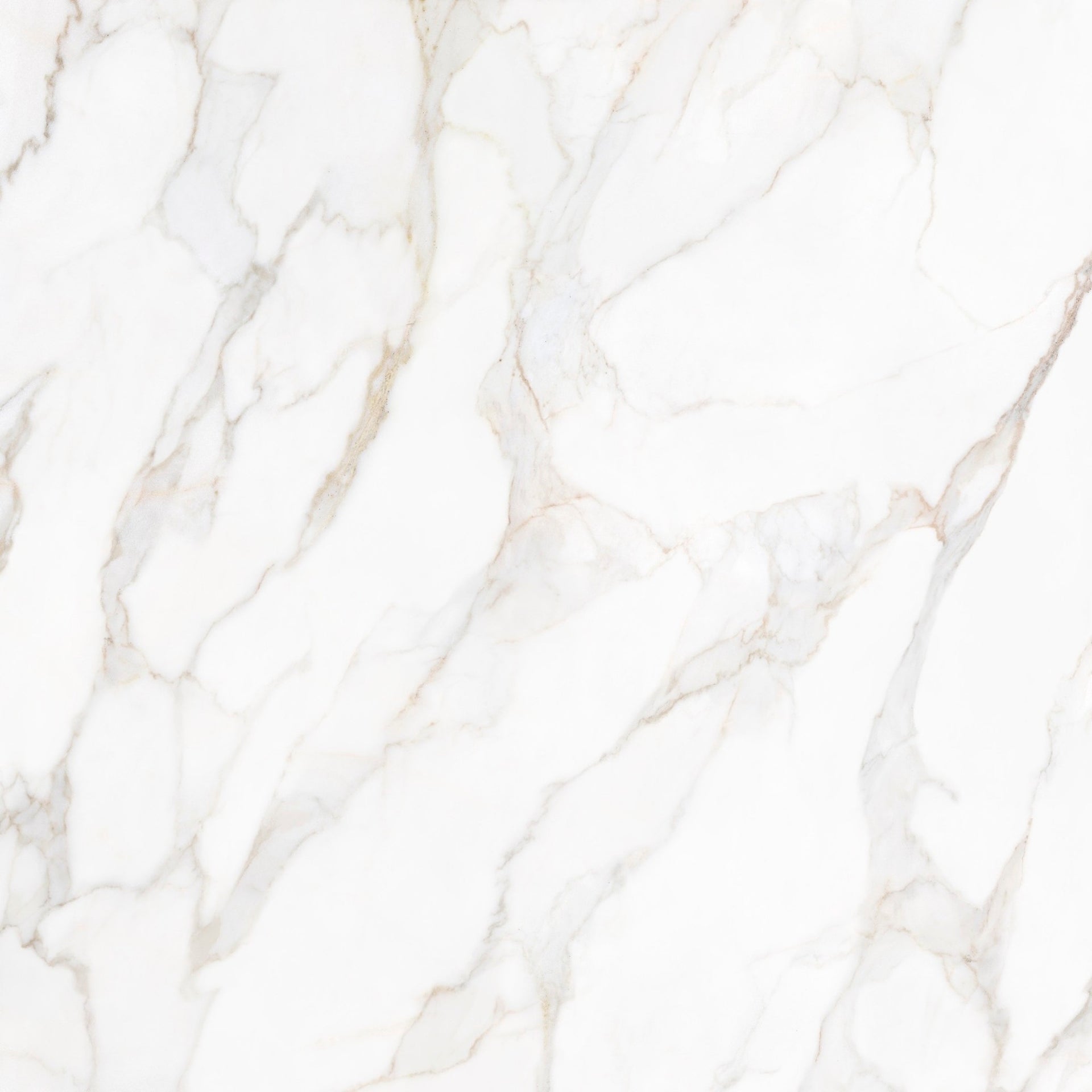 Close-up of Livorno white marbleeffect tile with grey and gold textures