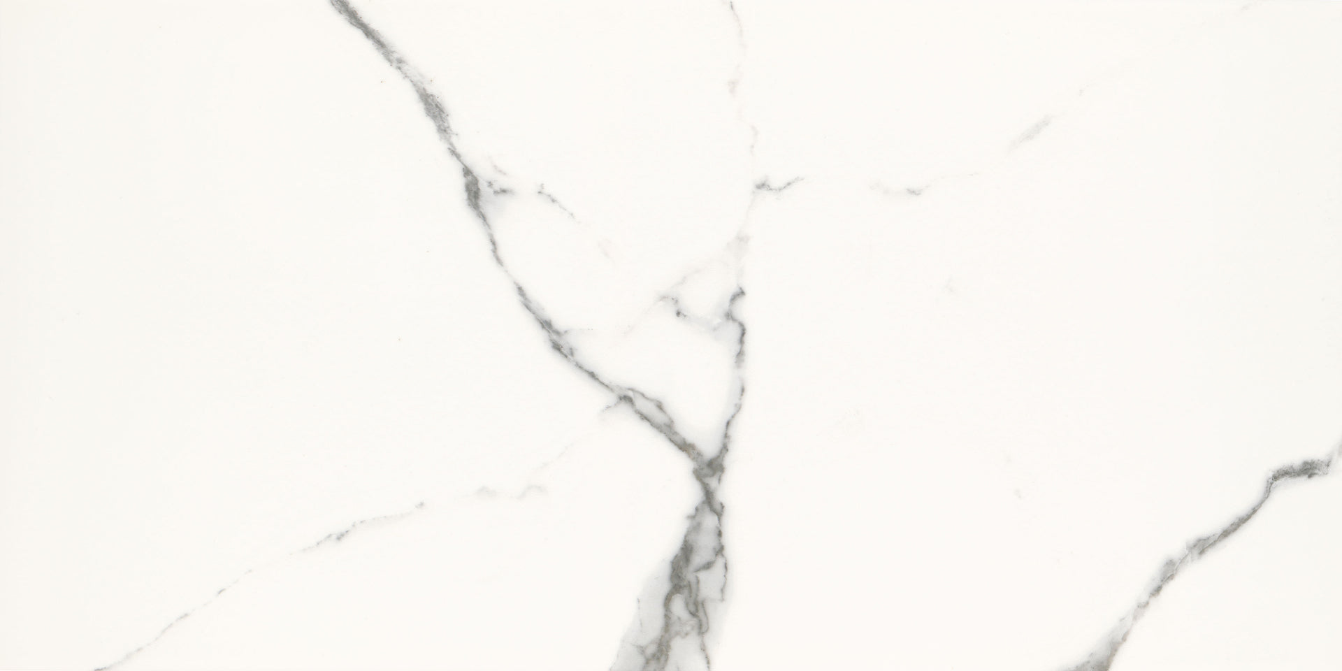 Emily White Carrara 600mm x 300mm Tile