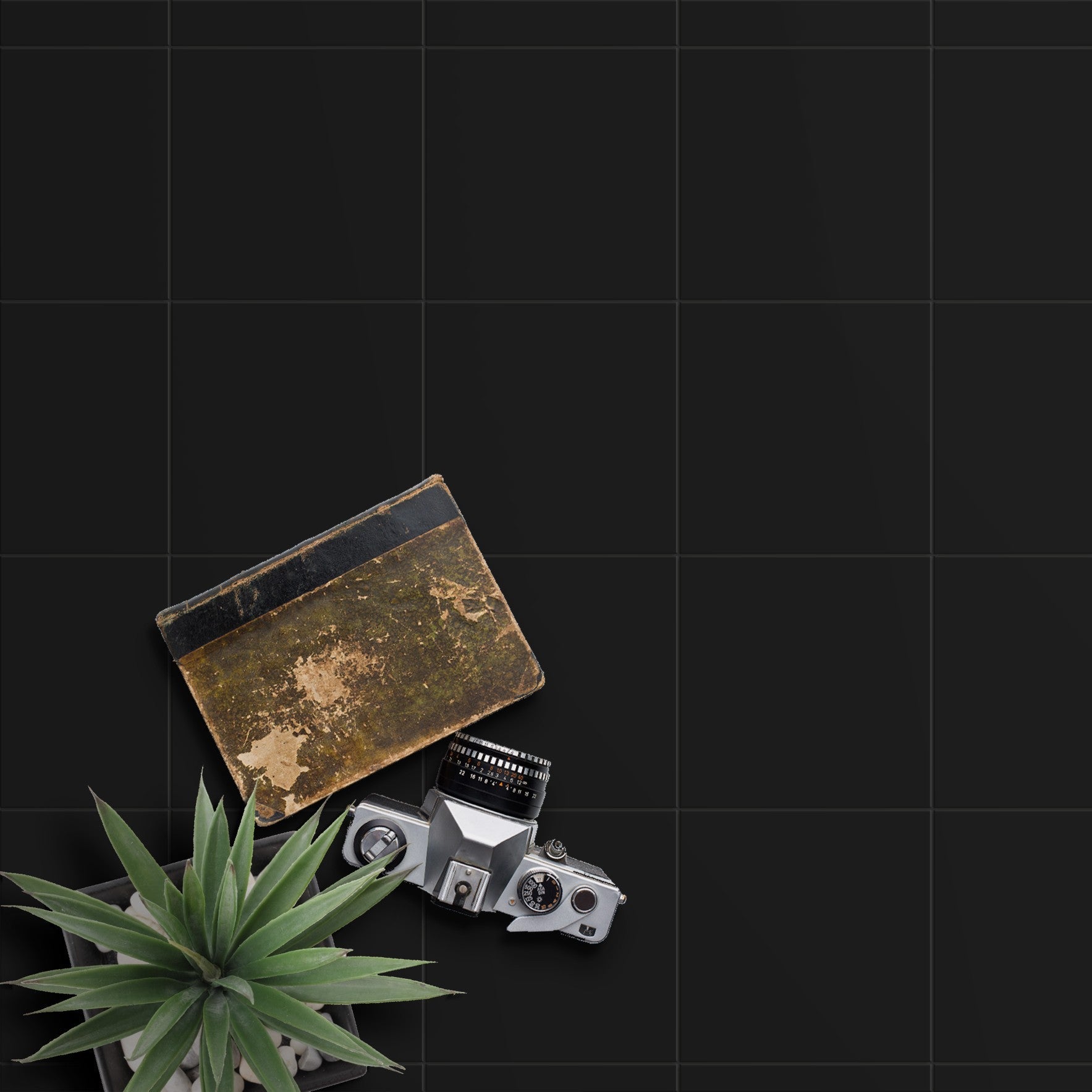 Black base tiles with a patchwork design pattern, displayed alongside a green plant,a classic camera and an old book for scale.
