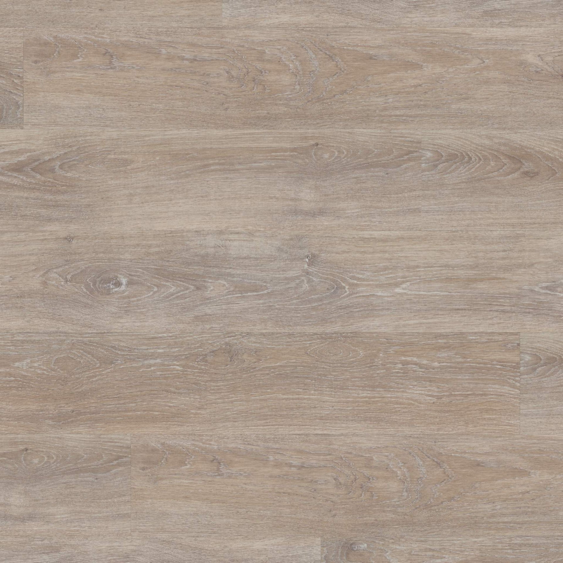 Arezzo Greige Oak LVT Pack