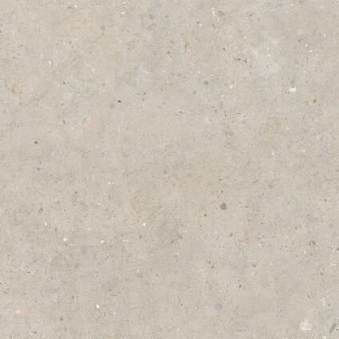 Coolstone Greige Tile - 600 x 600mm