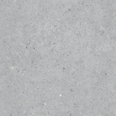 Coolstone Grey Tile - 600 x 300mm