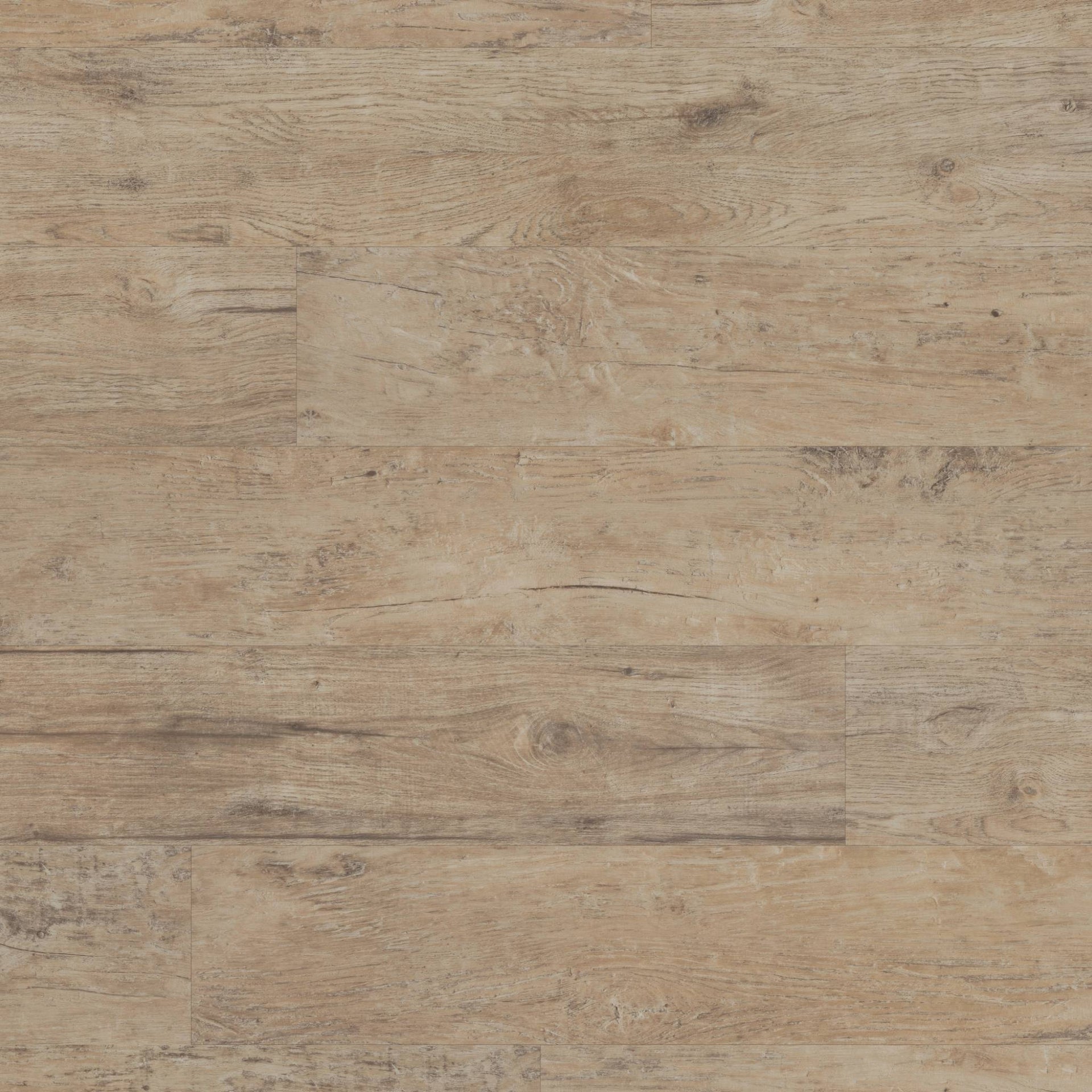 Domaso Taupe Oak LVT Pack