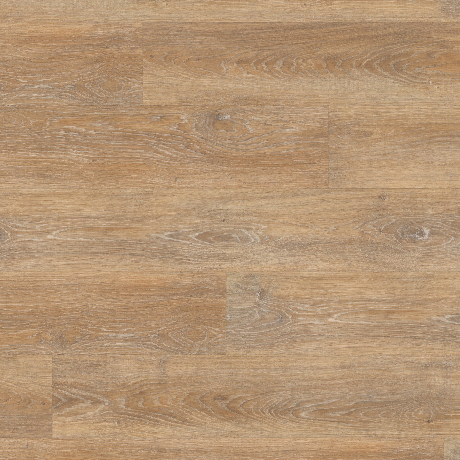 Montieri Golden Blend Oak LVT Pack