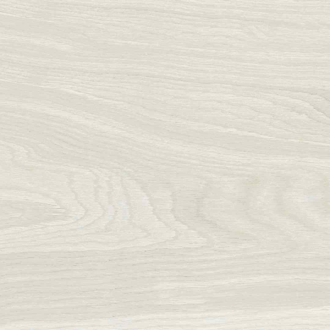 Talland Maple